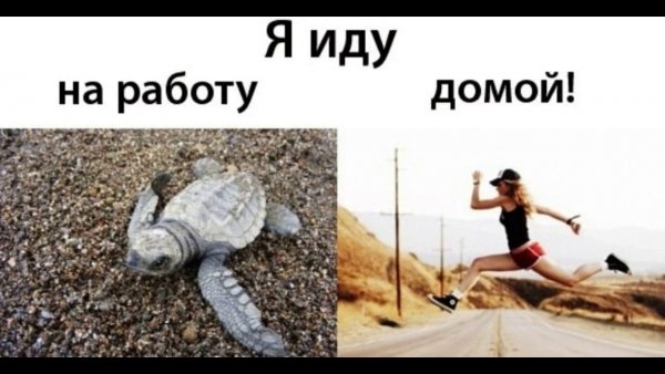 Когда идёшь с работы домой прикол