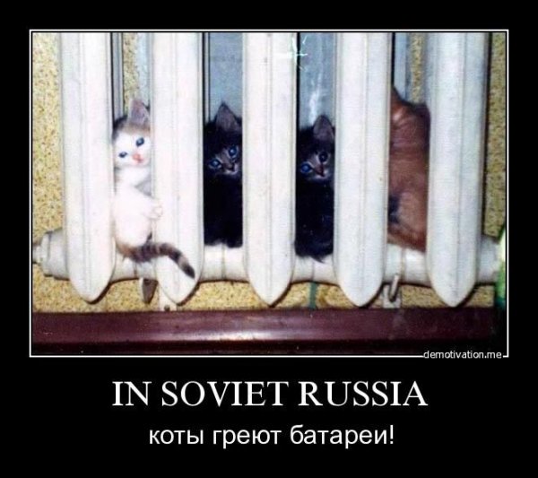 Кот на батарее
