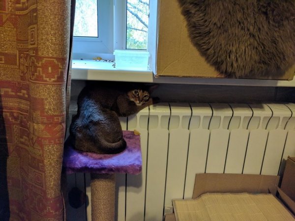 Отопление смешное