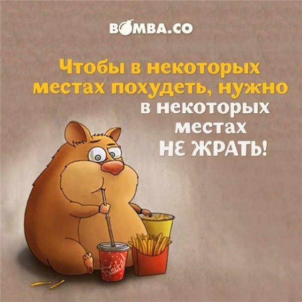Высказывания о похудении