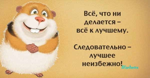 Открытки позитивные смешные