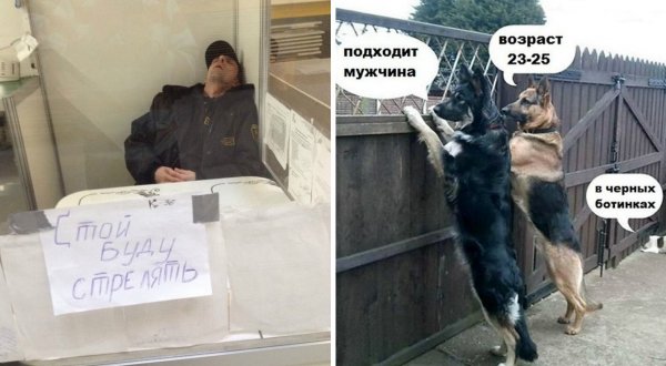 Охрана прикол