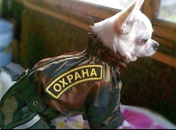 Охрана торговых центров