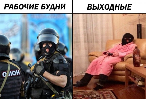 Демотиваторы про охрану