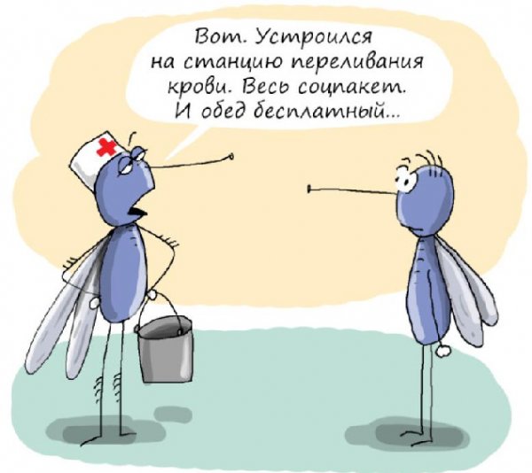 Донор карикатура