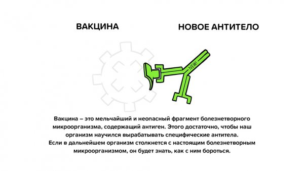 Вакцинация и антитела