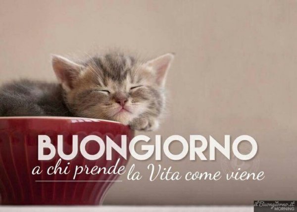 Buongiorno фотосессия