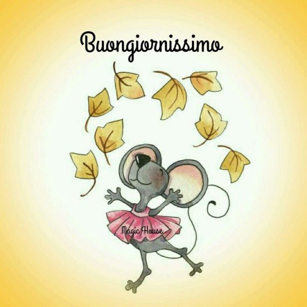 Buongiorno gif прикольные