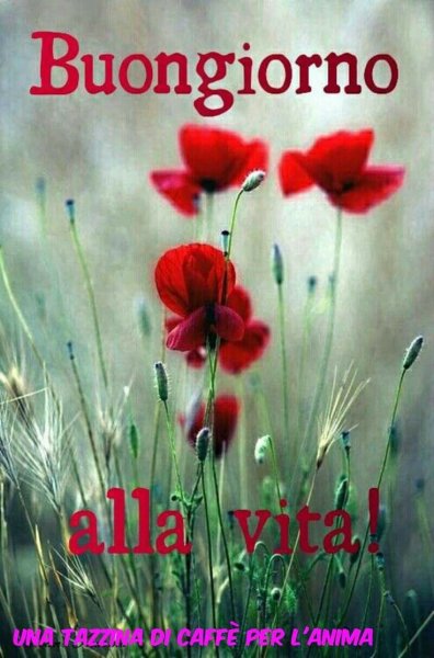 Buongiorno открытки на итальянском