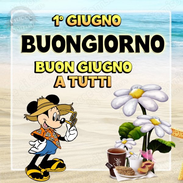 Buongiorno карточки