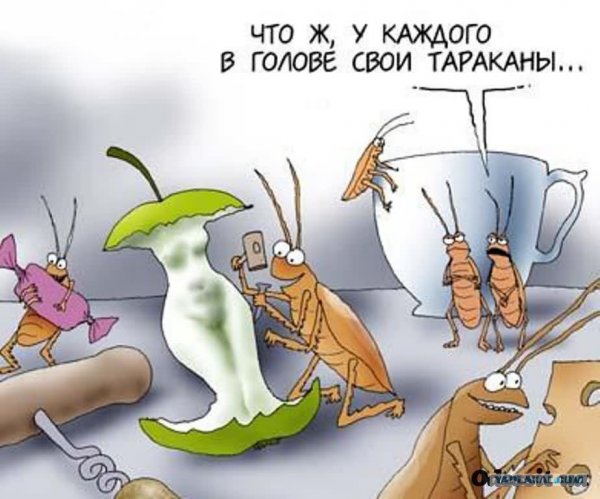 Тараканы в голове