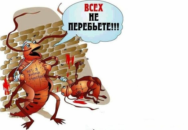 Приколы про тараканов