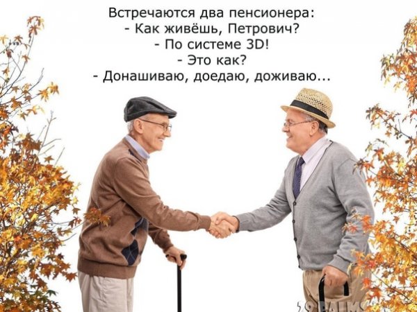 Приколы про пенсионеров