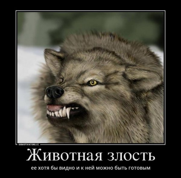 Злость демотиватор
