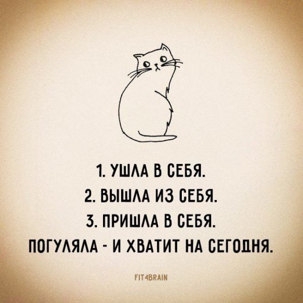 Веселые Мотивирующие фразы