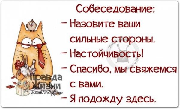 Мотивирующие высказывания смешные