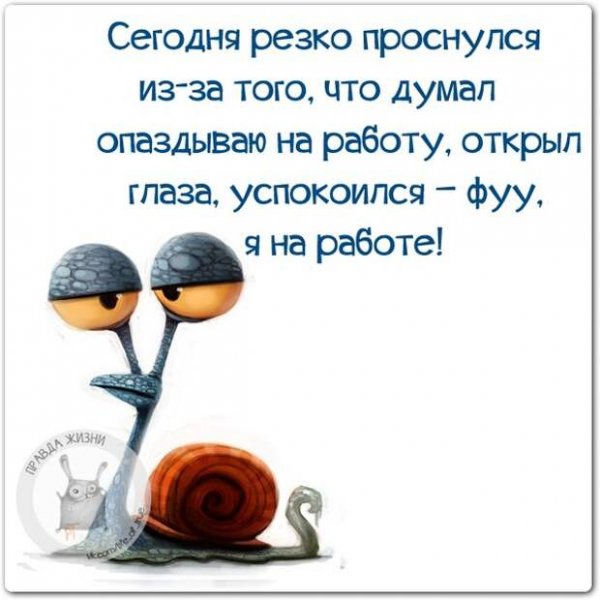 Смешные цитаты про мотивацию