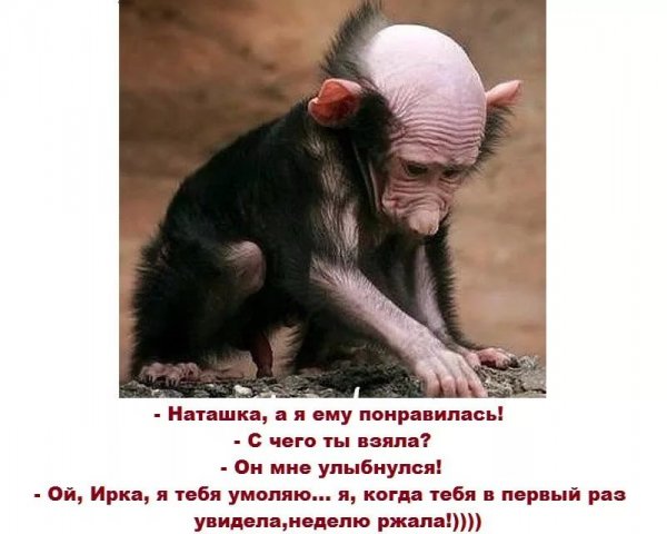 Прикольные картинки про наташку