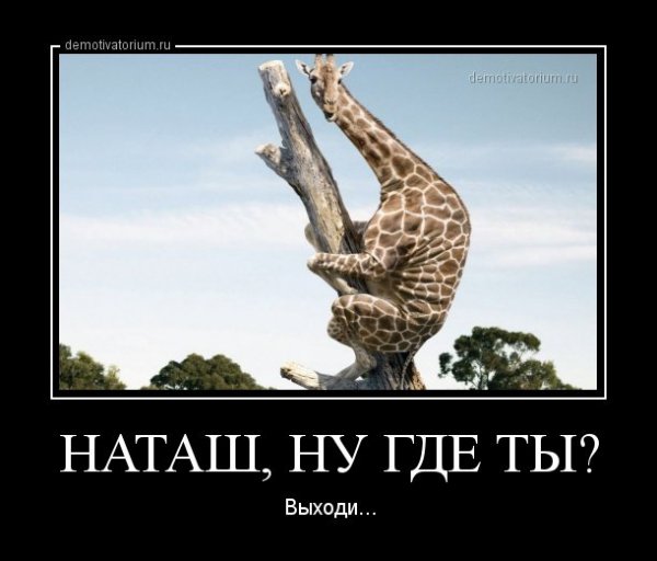 Приколы про Наташу