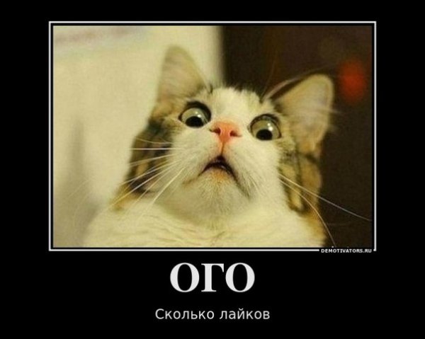 ОГО сколько