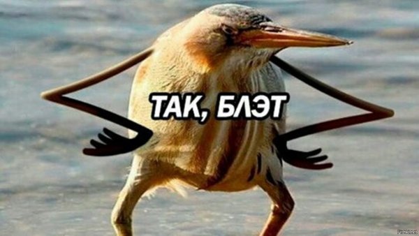 Так блэт Мем