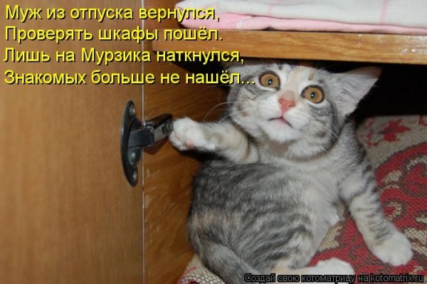 Смешные подписи под картинками