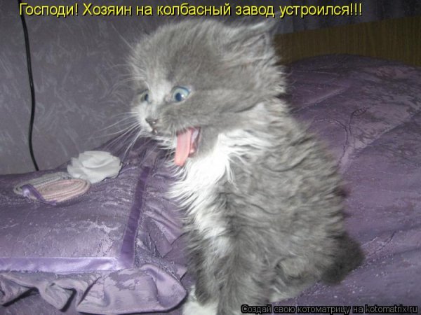 Не фига себе