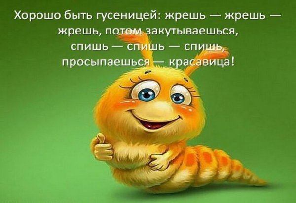 Позитивчик для поднятия настроения
