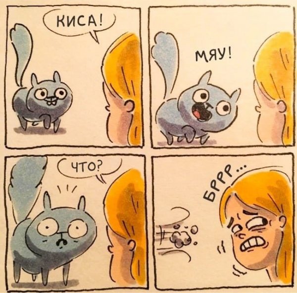 Забавные котики комиксы
