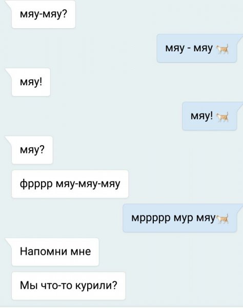 Мяу мяу мяу