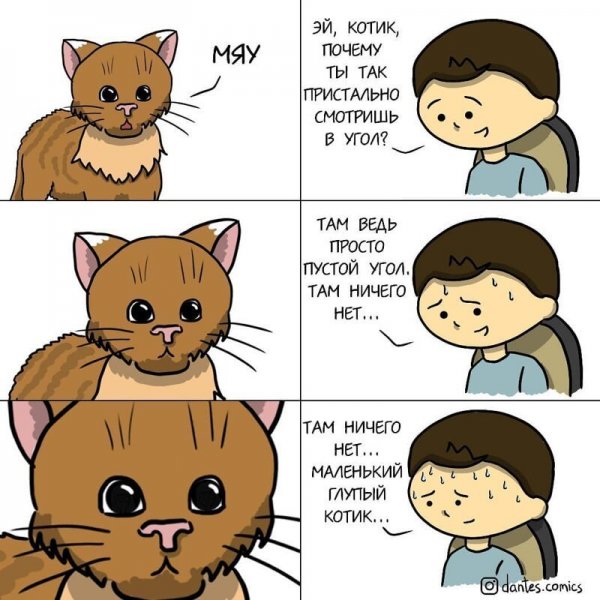 Классные комиксы про котиков