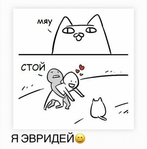 Коты мяу мяу