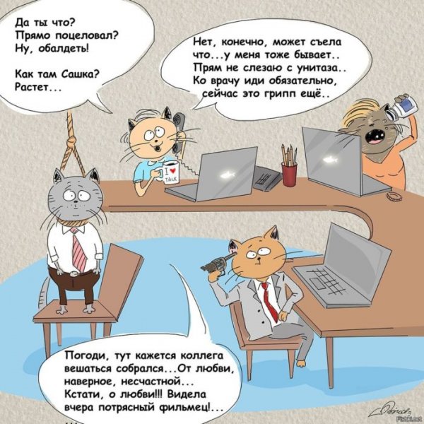 Шутки про коллег