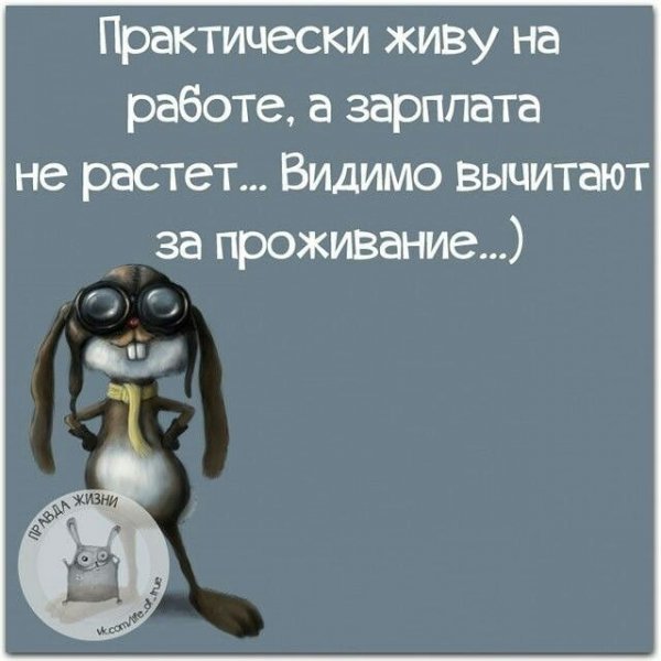 Смешные фразы про работу