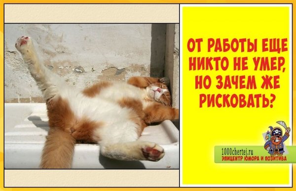 Шуточные картинки про работу