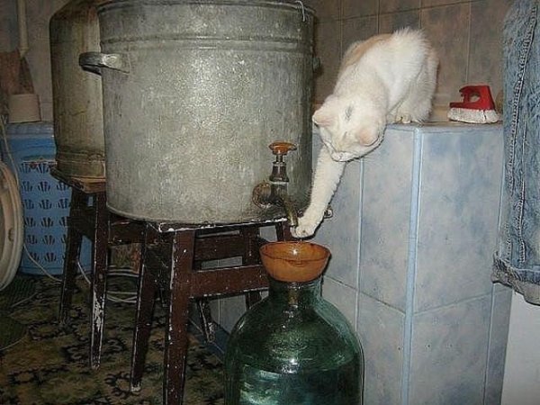 Картина Самогонщики
