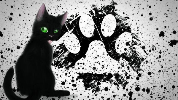 Чёрный кот арт