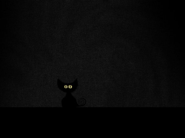 Черный кот в черной комнате