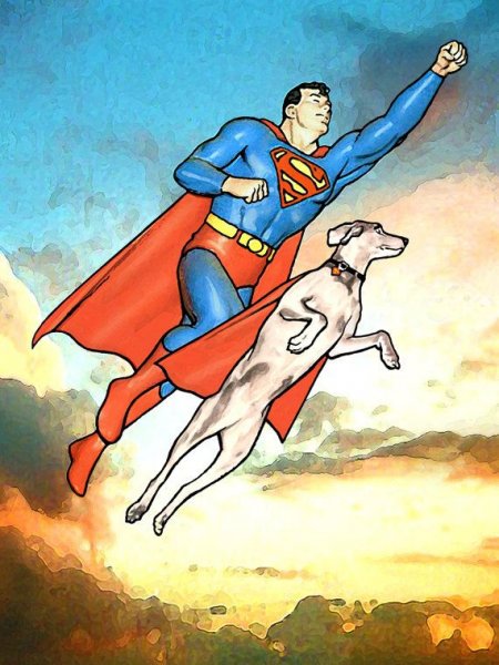 Krypto (sarjakuvahahmo)