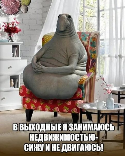 Ждуны приколы