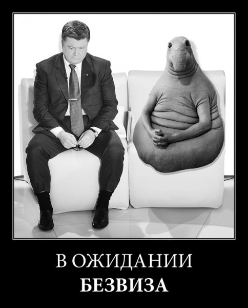 Ждун в самолете