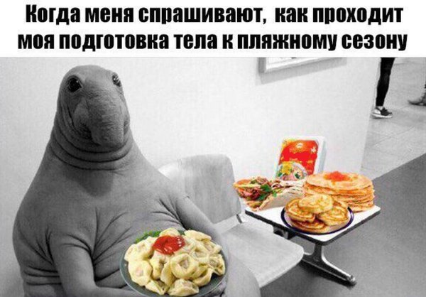 Гомункулус Локсодонтус Ждун