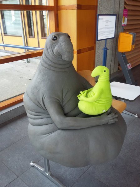 Костя Ждун