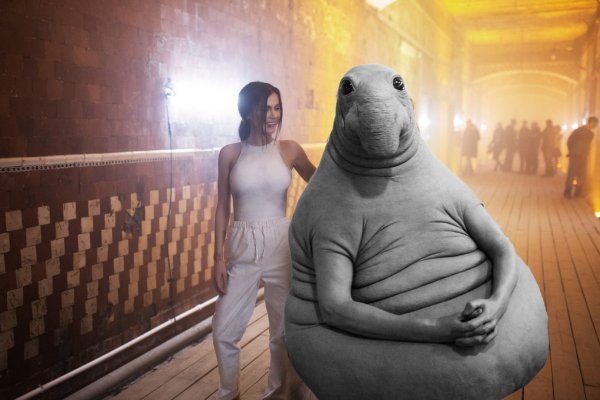 Джун Ждун
