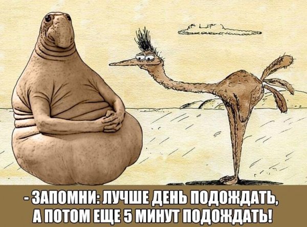 Смешной Мем Ждуна
