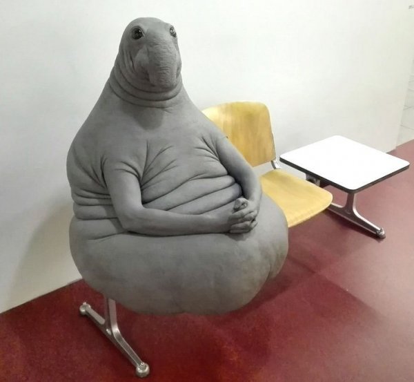 Ждун с ноутом