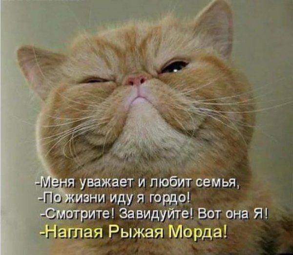 Прикол про больную голову