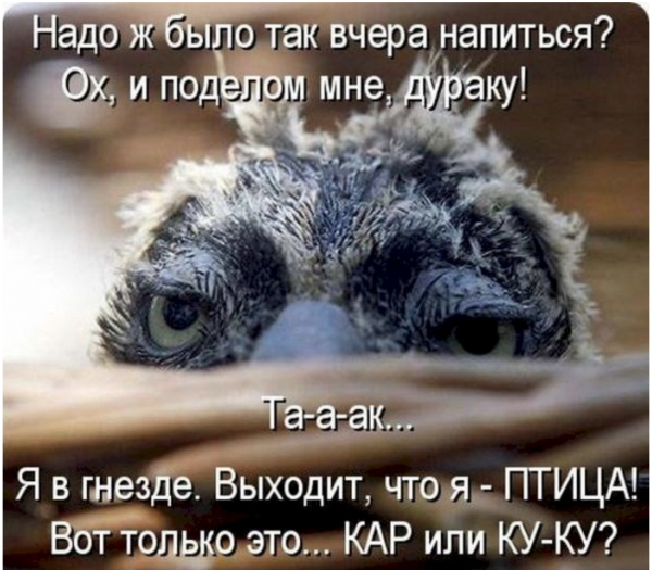 С выходными прикольные