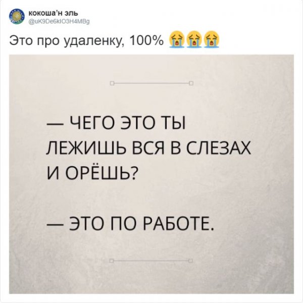 Шутки про удалёнку