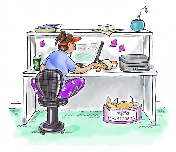 Работа на удаленке карикатура